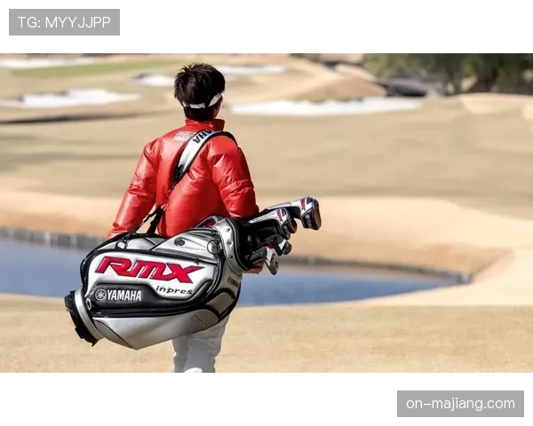 分析报告：二手高端高尔夫球杆在线交易平台估值激增